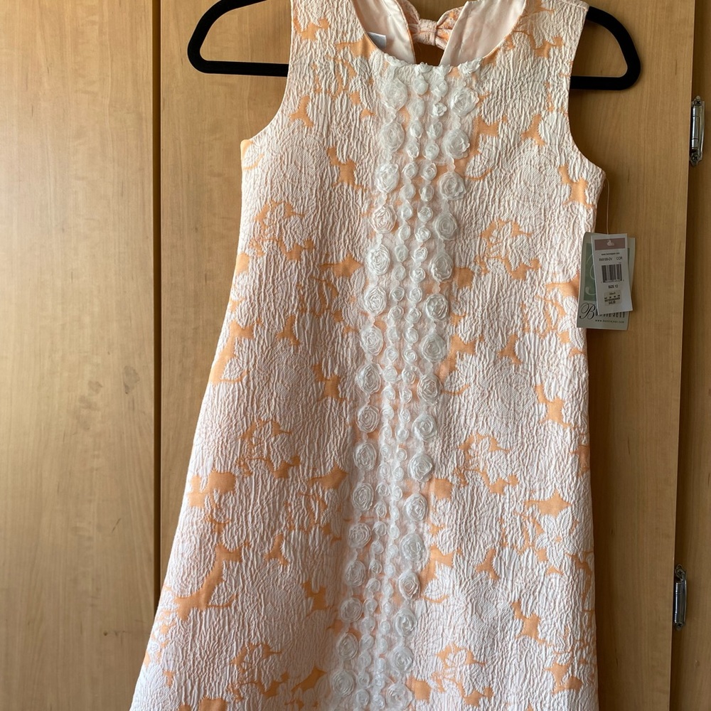 Bonnie Jean Girl dress size 12